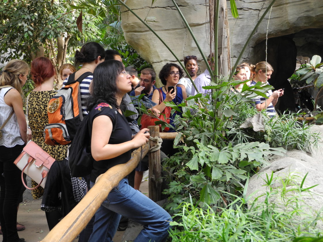 A group of international scientists is given a guided tour of Leipzig Zoo. In the foreground, a female scientist is standing away from the group and looking into the pen, although the pen itself is not visible.